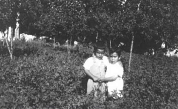 PTz9I_1437999663_0956.jpg