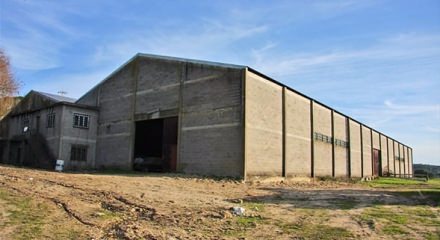 Ahırdan &ouml;yle şeyler &ccedil;ıktı ki...