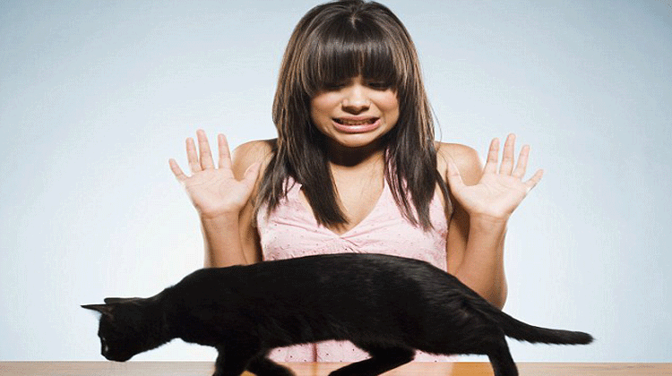 http://image.cdn.haber7.com//haber/haber7/photos/2016/15/kedi_alerjisi_nasil_gecer_1460721490_3889.gif