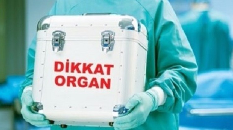 organ_nakline_iha_destegi_1462861322_6357.jpg
