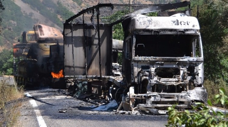 [Resim: pkkli_alcaklar_yol_kesip_tir_yakti_1470040064_1983.jpg]