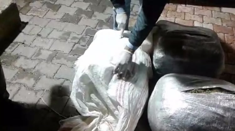 Mardin'de 89 kilogram esrar.. Mardin'de 89 kilogram esrar..