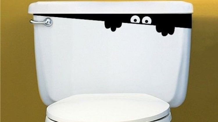 Çin'de 'tuvalet' devrimi Çin'de 'tuvalet' devrimi