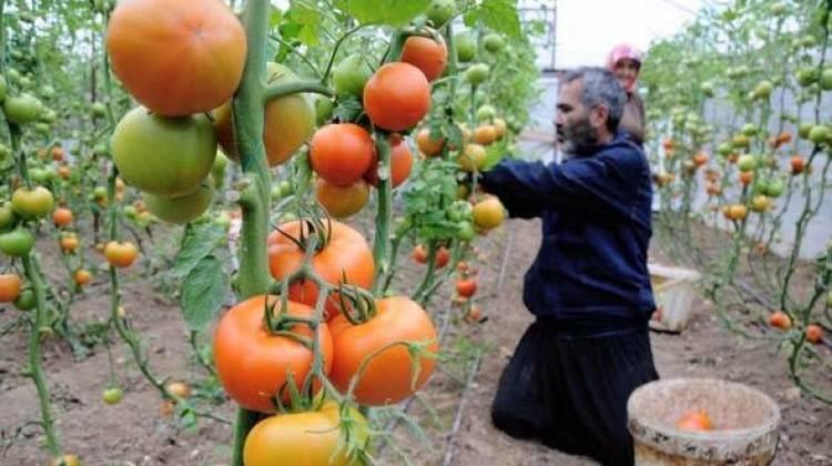 Havalar soğudu, yüzde 50 zam geldi