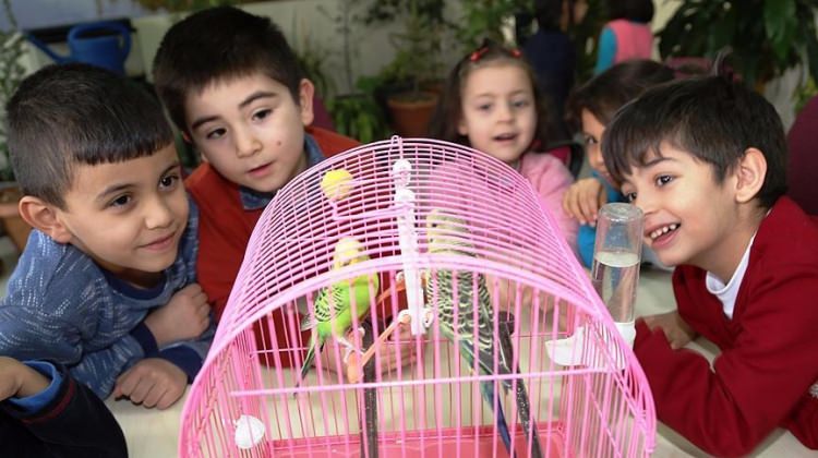 Okulda 'doğal yaşam alanı' oluşturdular Okulda 'doğal yaşam alanı' oluşturdular