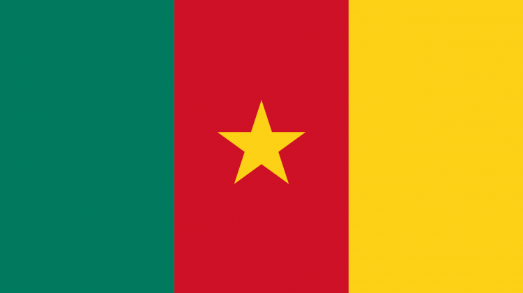 Kamerun'da mayın patladı! Kamerun'da mayın patladı!