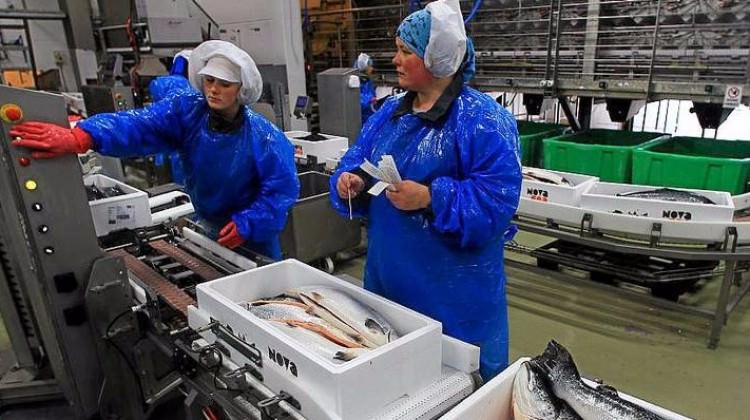 Her bir çalışanına 22 bin Euro ikramiye dağıtacak Her bir çalışanına 22 bin Euro ikramiye dağıtacak