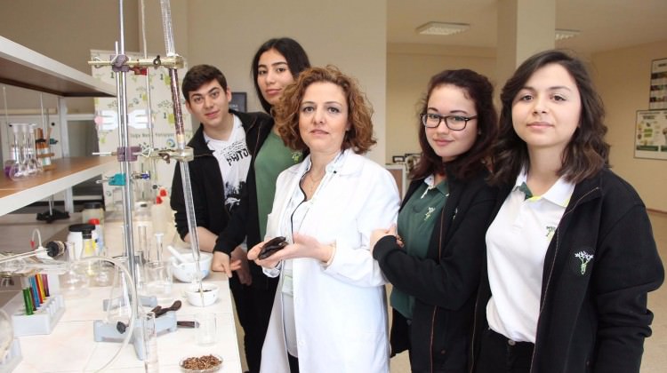 Keçiboynuzunun müthiş bir özelliğini keşfettiler Keçiboynuzunun müthiş bir özelliğini keşfettiler