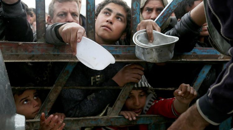 Musul'da 335 bin kişi yerlerinden oldu! Musul'da 335 bin kişi yerlerinden oldu!
