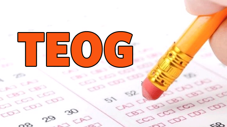 2.dönem TEOG sınav öncesi öğrencilere 8 önemli ipucu 2.dönem TEOG sınav öncesi öğrencilere 8 önemli ipucu