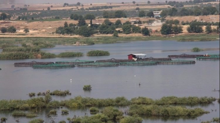 Karkamış Sulak Alanı turizme açılıyor Karkamış Sulak Alanı turizme açılıyor