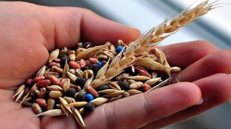 Bitkisel üretim destek ödemelerinde süre uzatıldı Bitkisel üretim destek ödemelerinde süre uzatıldı
