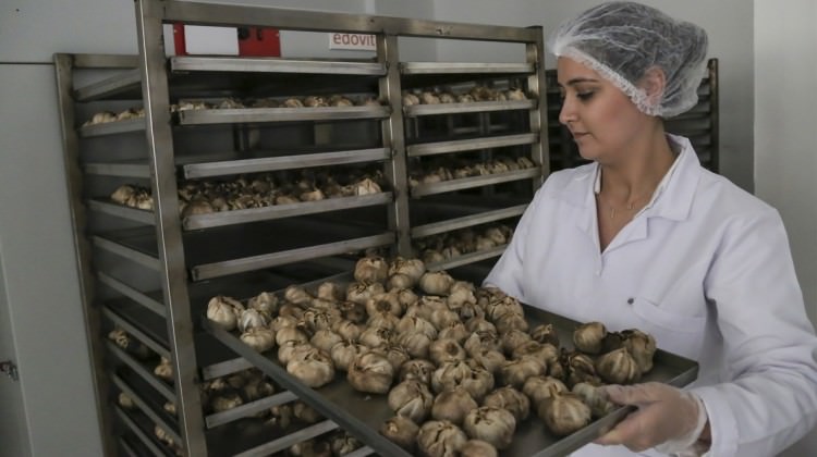 4 liraya alıyor 20 gün sonra 150 liraya satıyor 4 liraya alıyor 20 gün sonra 150 liraya satıyor