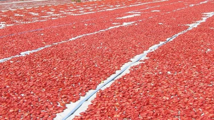 Dünyanın ihtiyacını Torbalı karşılıyor Dünyanın ihtiyacını Torbalı karşılıyor