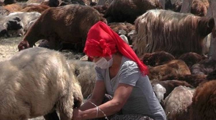 Bakanlık desteğiyle köyde yeni hayat... Bakanlık desteğiyle köyde yeni hayat...