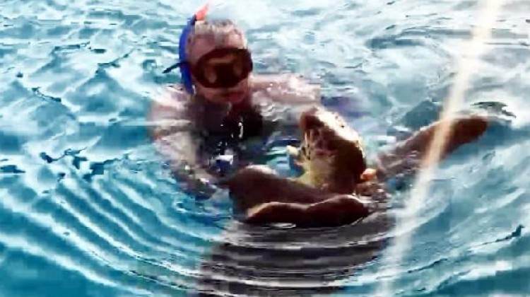 Caretta Caretta yine saldırdı Caretta Caretta yine saldırdı