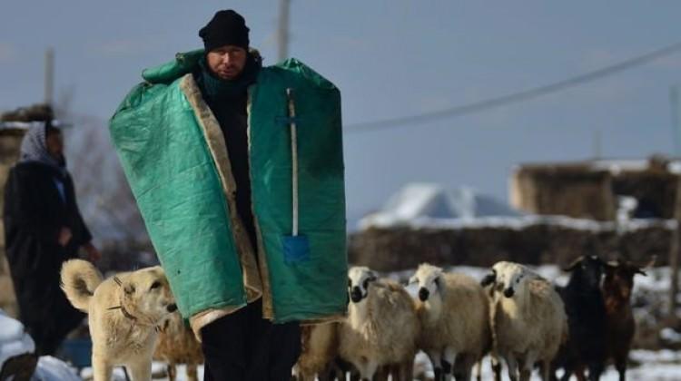 Çobanlar da otomobile ÖTV ödemesin teklifi