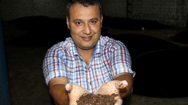 Müdürlüğü bıraktı solucan gübresi işine girdi Müdürlüğü bıraktı solucan gübresi işine girdi