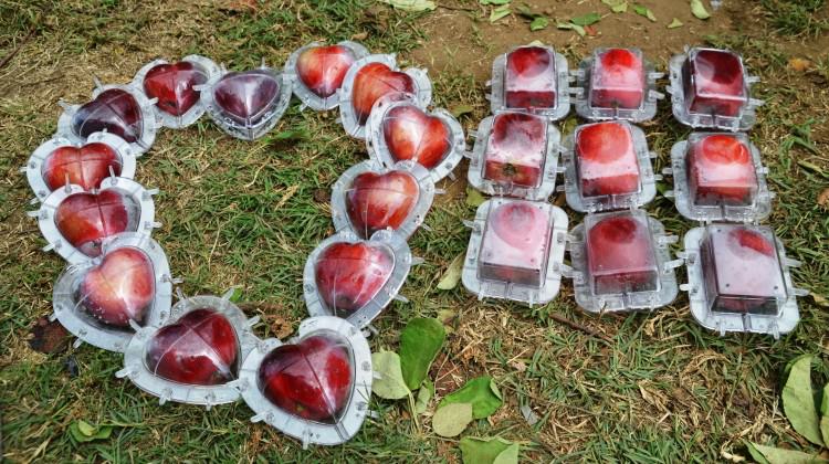 Hobisini mesleğe dönüştürdü Hobisini mesleğe dönüştürdü