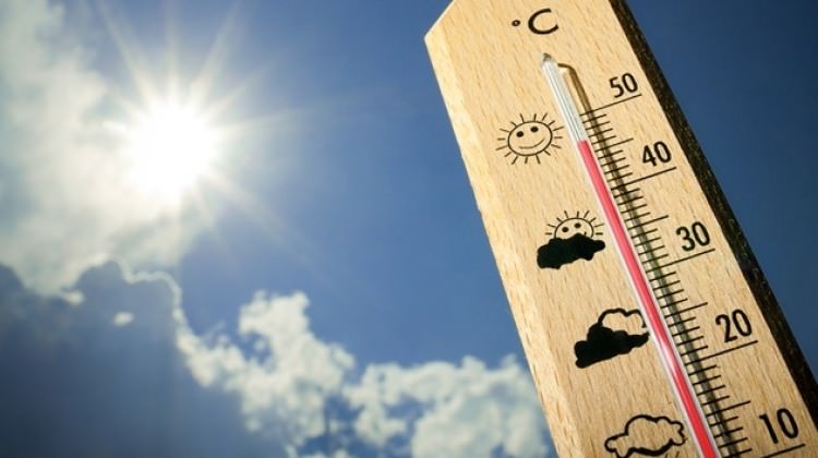 Meteoroloji'den sıcak hava uyarısı Meteoroloji'den sıcak hava uyarısı