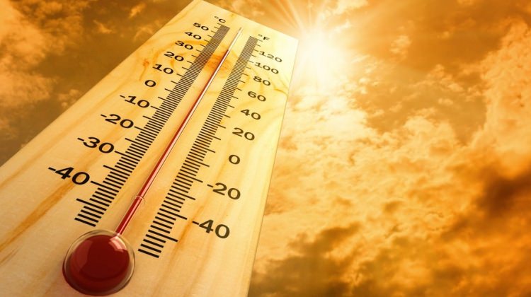 Meteoroloji Genel Müdürlüğü: En yüksek sıcaklık rekoru bekleniyor! Meteoroloji Genel Müdürlüğü: En yüksek sıcaklık rekoru bekleniyor!