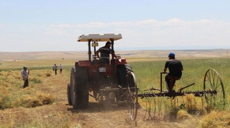 Tarımsal üretime yüzde 50 hibe Tarımsal üretime yüzde 50 hibe