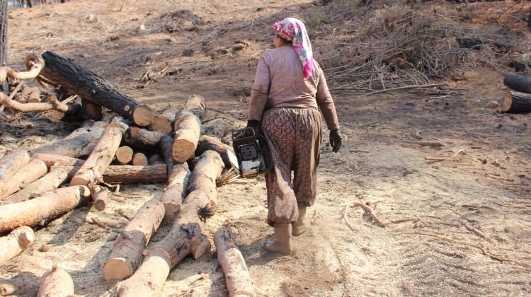 Yanan ormanlar onların ekmek kapısı Yanan ormanlar onların ekmek kapısı