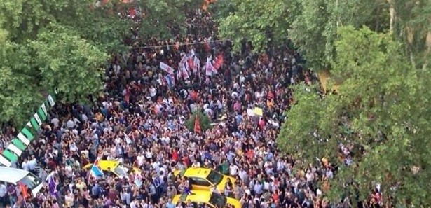 Ağaç kesimini protesto ederken ağaçlara zarar verdiler Ağaç kesimini protesto ederken ağaçlara zarar verdiler