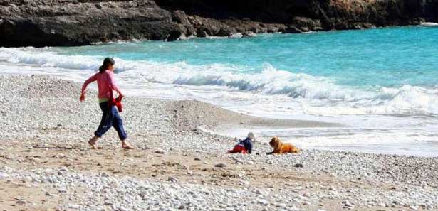 Emekleyerek denize giden bebeği köpek kurtardı Emekleyerek denize giden bebeği köpek kurtardı