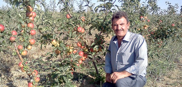 Hobi olarak başladı, 5 bin bodur elma ağacı oldu Hobi olarak başladı, 5 bin bodur elma ağacı oldu