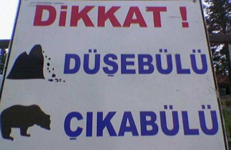 [Resim: 66113818325.jpg]