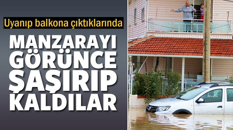 Manzarayı g&ouml;r&uuml;nce ne yapacaklarını şaşırdılar!