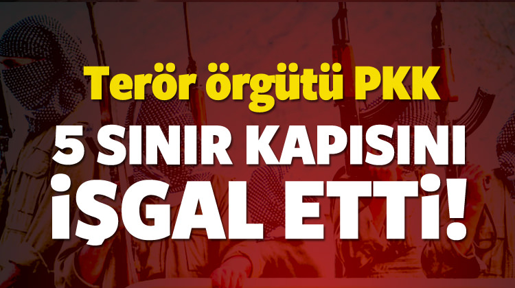 Tüm kurallara göre yayın balığı balıkçılığı Tüm kurallara göre yayın balığı balıkçılığı