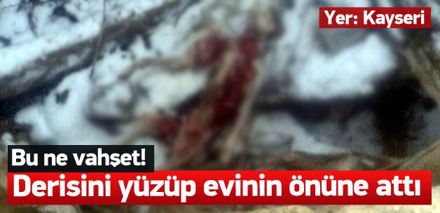 Derisini y&uuml;z&uuml;p sahibinin evinin &ouml;n&uuml;ne astı