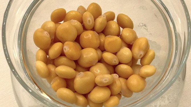 Bayramiç Haberleri: Bayramiçte, 600 yıllık zeytin ağacı tescillenmeyi bekliyor Bayramiç Haberleri: Bayramiçte, 600 yıllık zeytin ağacı tescillenmeyi bekliyor