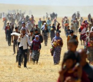 3 bin 583 Yezidi'den haber alınamıyor