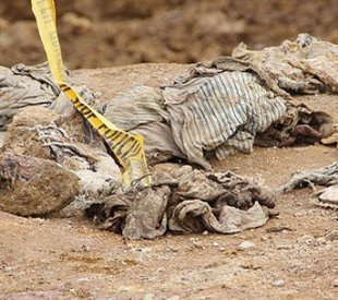 Deyru'z Zor'da 75 kişilik toplu mezar