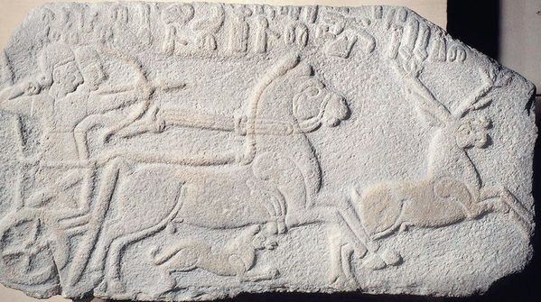 Türkiye'den tarihi takip! Değerine paha biçilemiyor-3